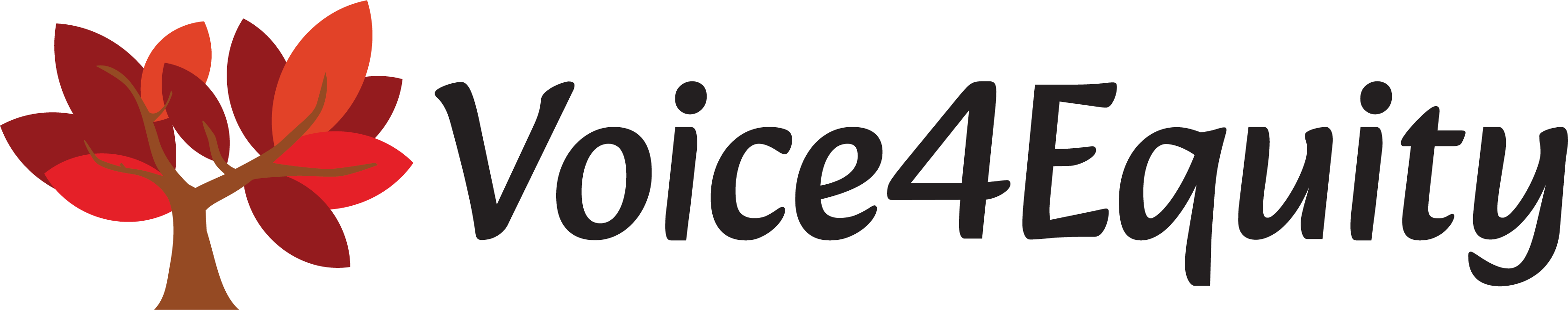 Voice 4 Equity Logo